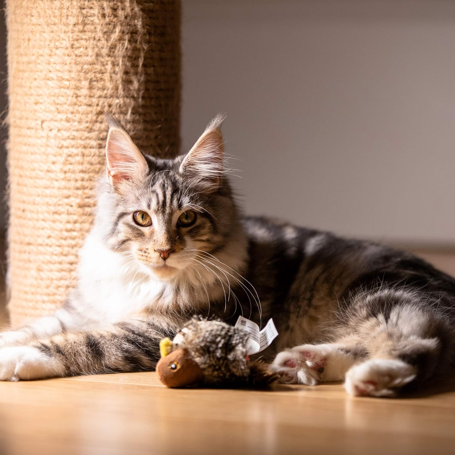 Vogely - Das beliebteste Katzenspielzeug