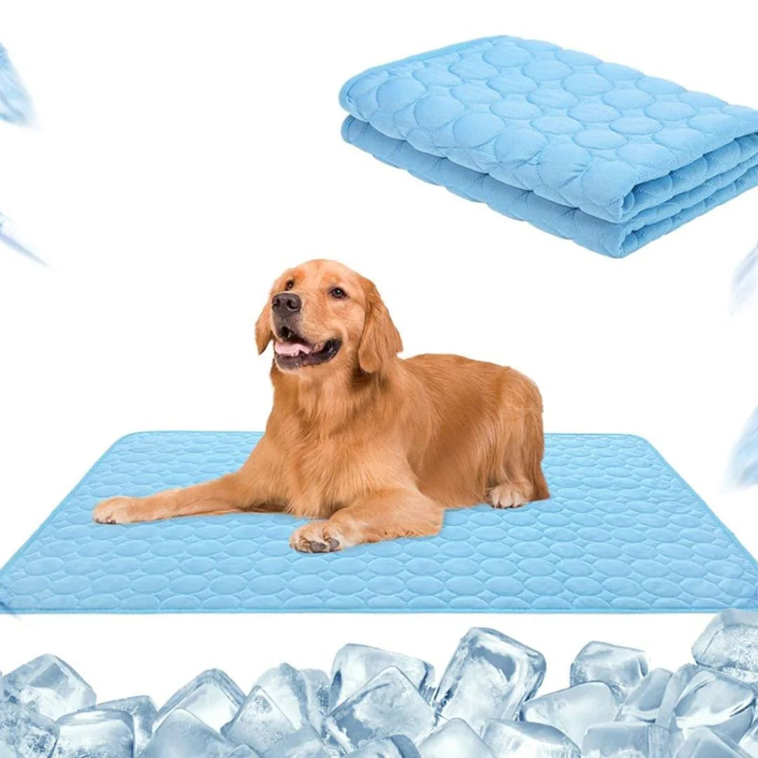 CoolDog - Die Kühlmatte für den Sommer