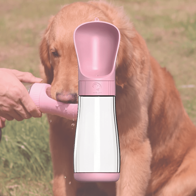 PetBottle - Handlich, Dicht und Auslaufsicher