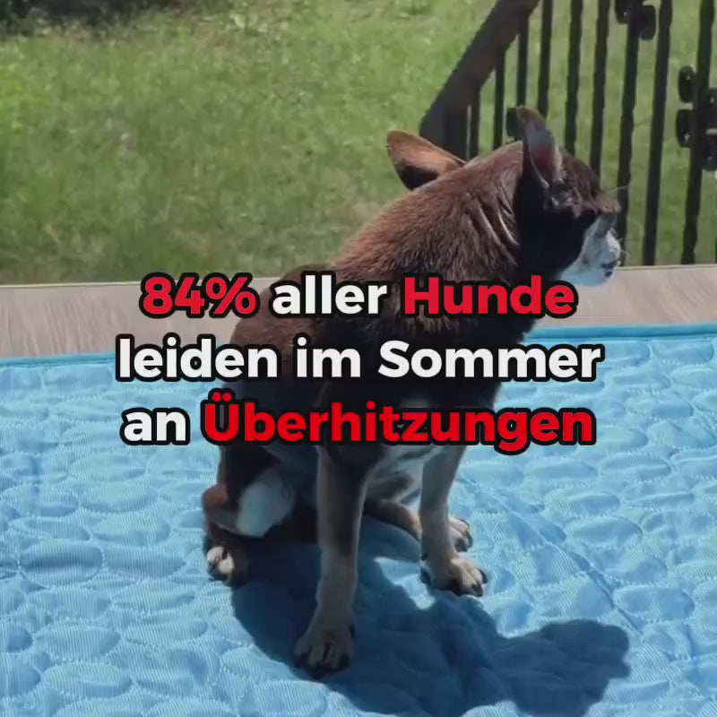 Video laden: CoolDog - Die Kühlmatte für den Sommer