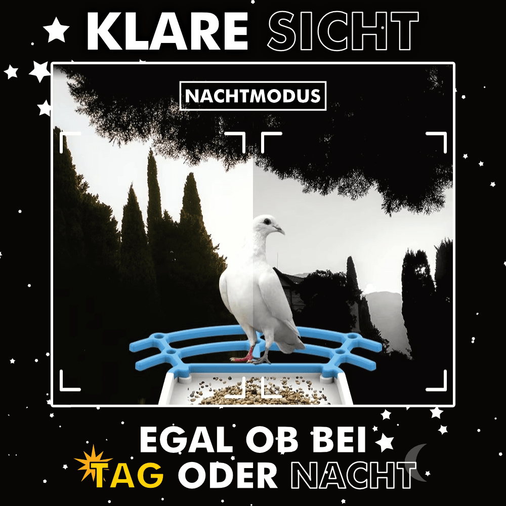 Birdy - Beobachte Vögel Hautnah