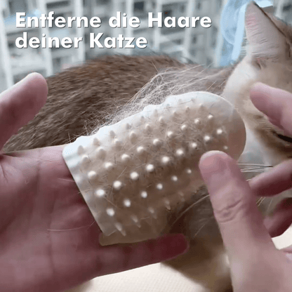 KratzKatz - Die Beliebteste Kratzbürste für Katzen