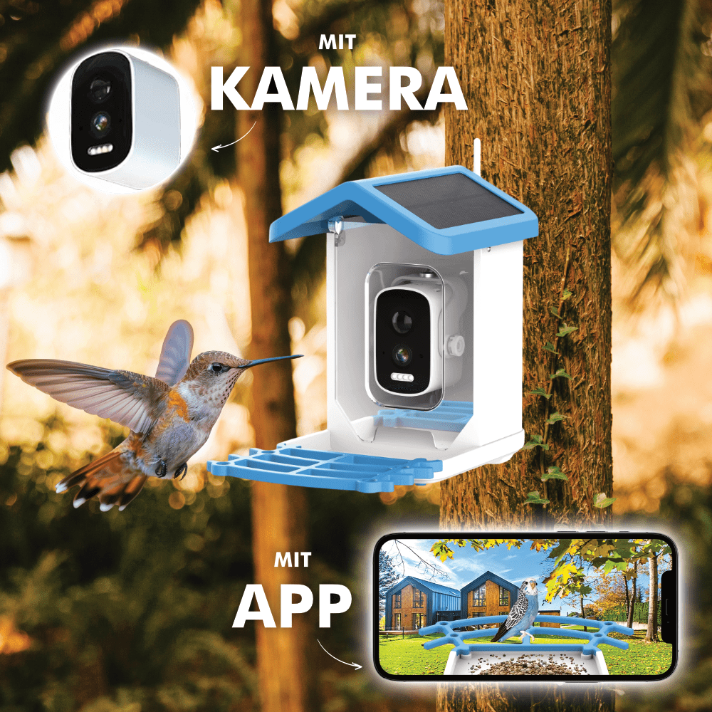 Birdy - Beobachte Vögel Hautnah