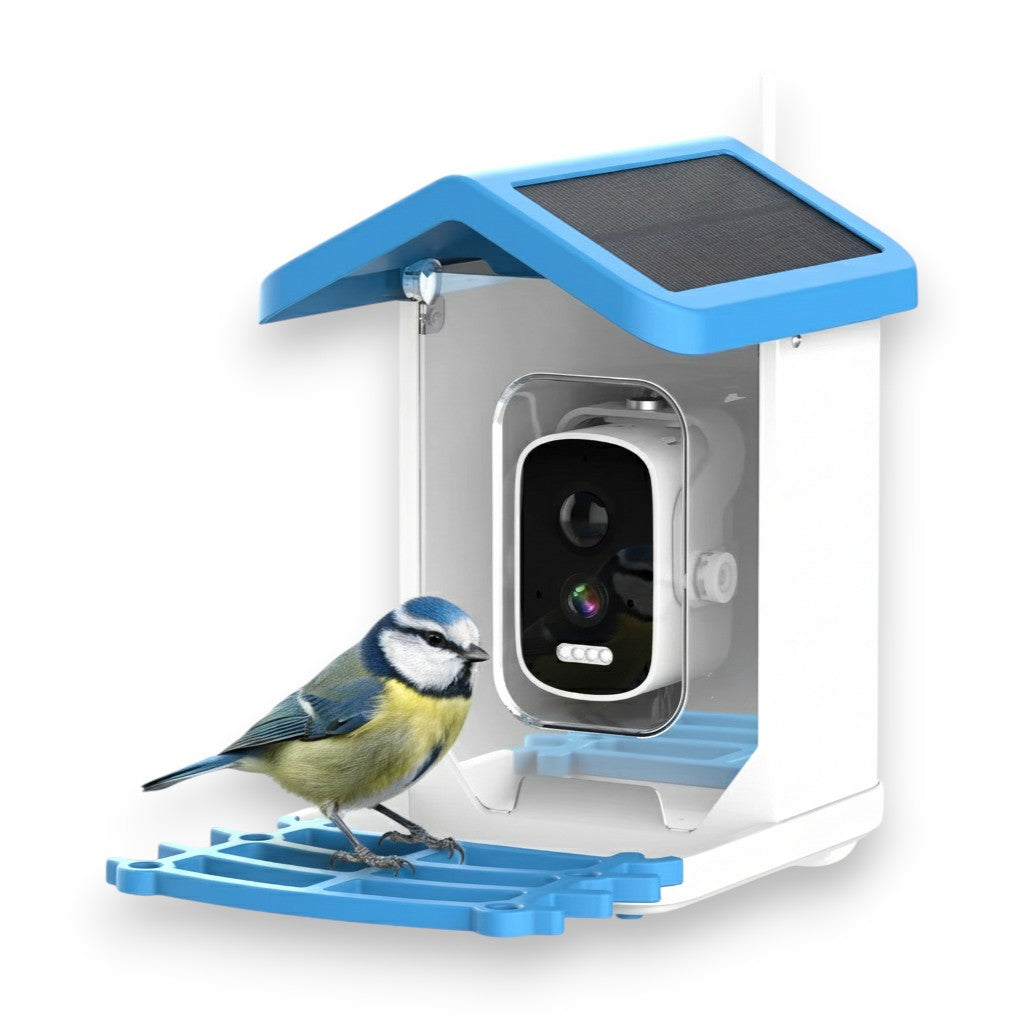 Birdy - Beobachte Vögel Hautnah