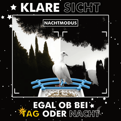Birdy - Beobachte Vögel Hautnah